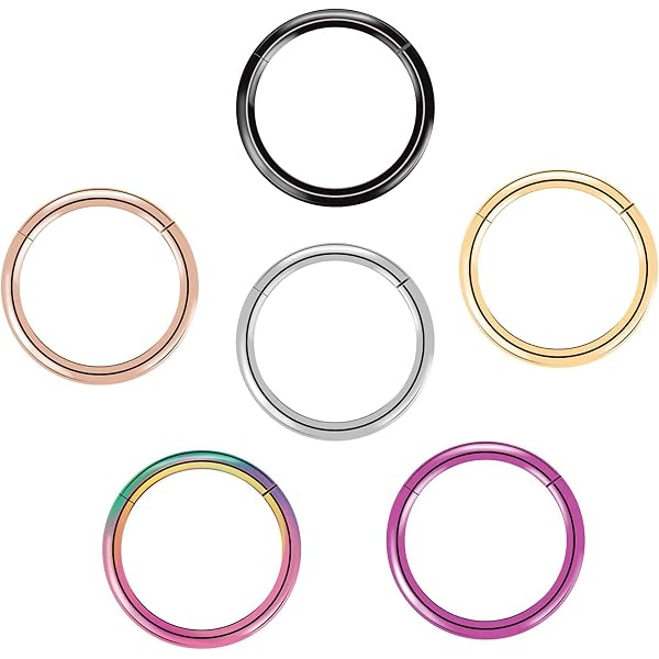 耳環　金環　①②まとめて Amazon.com: arvinpiercing BOGKU 6pcs G23 Titanium Hinged Nose